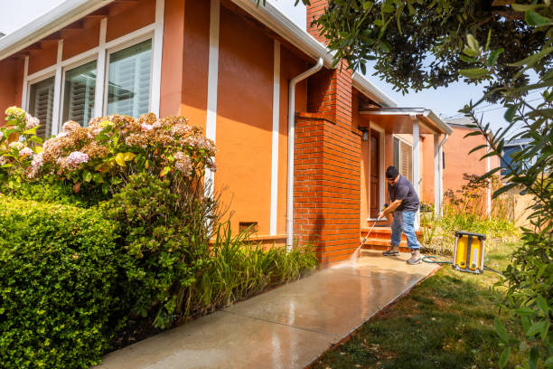 Best Pressure Washing Near Me  in Ridgetop, TN